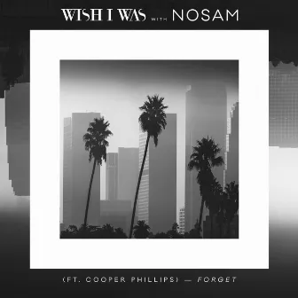 Forget (Ft. Cooper Phillip) by NOSAM