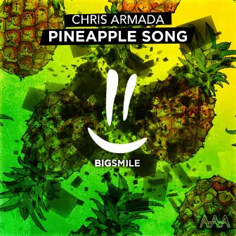 Pineapple Song (Original Mix) by Chris Armada