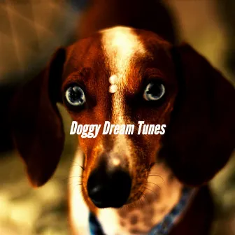 Doggy Dream Tunes by Comfortable Doggy Music