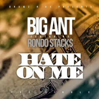 Hate On Me by Big Ant