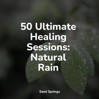 50 Ultimate Healing Sessions: Natural Rain by Thunder and Rain Storm