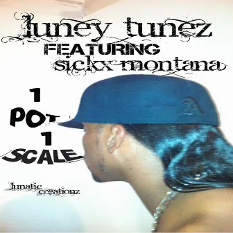 One Pot One Scale (feat. Sickx Montana) - Single by Luney Tunez