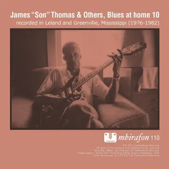 Blues At Home 10 by James 