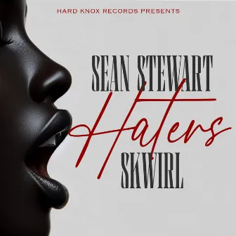 Haters by Sean Stewart