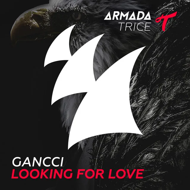 Looking For Love - Radio Edit