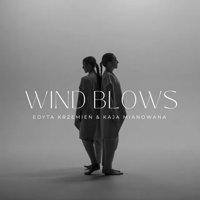 Wind Blows (remix)