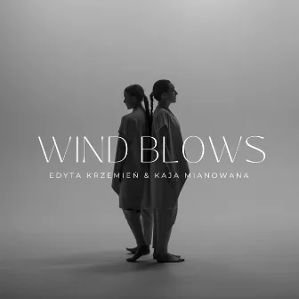 Wind Blows (remix) by Edyta Krzemień