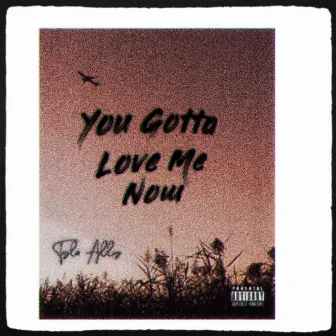 You Gotta Love Me Now by Tyla Ally