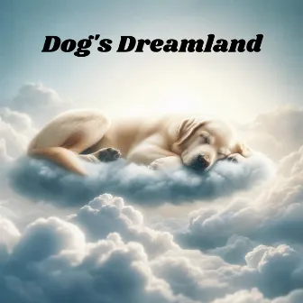 Dog's Dreamland: Sleepy Paws: Lullabies for Your Four-Legged Friend, Canine Relaxation, Stress-Free Doggy Days by Pet Music Doctor