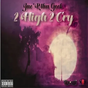 2 High 2 Cry by Jae' R Tha Geek