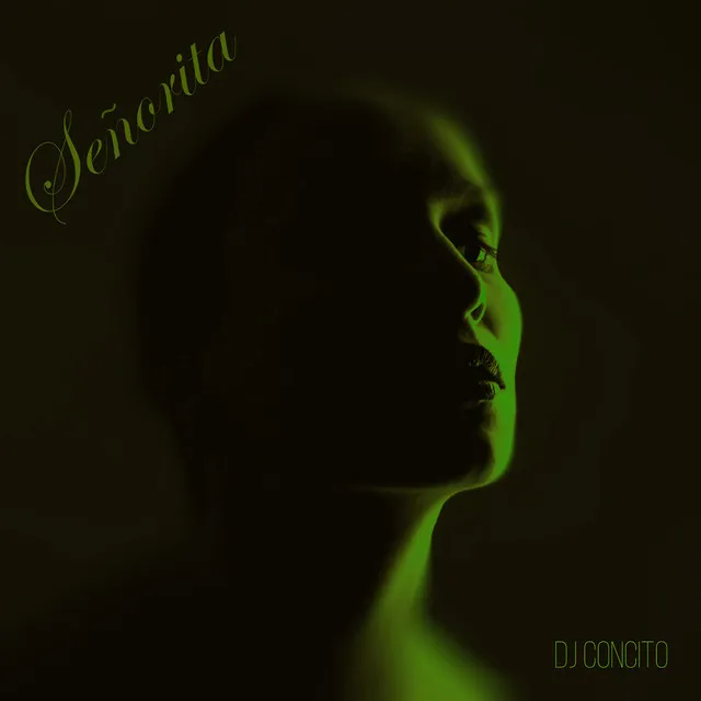 Señorita - Remix