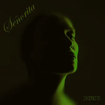 Señorita (Remix) by DJ Concito