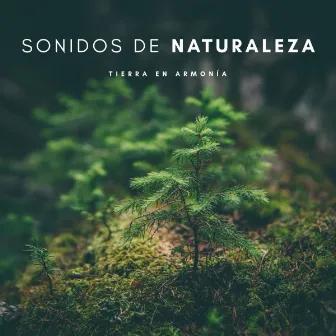 Sonidos De Naturaleza: Tierra En Armonía by Relájate Ruido