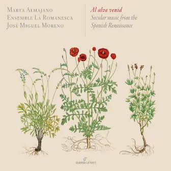 Al alva venid: Secular Music from the Spanish Renaissance by Marta Almajano