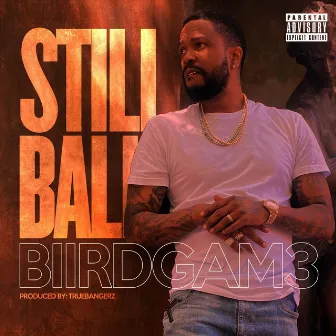 Still Ball by Biirdgam3