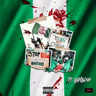 BLOOD ON THE FLAG #ENDSARS by Tc Gambino