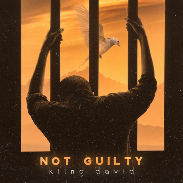 Not Guilty