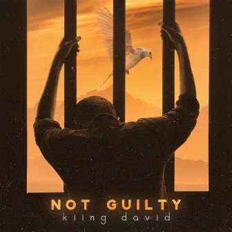 Not Guilty by kiing david