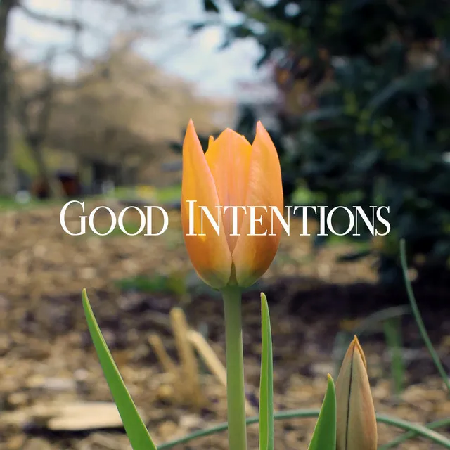 Good Intentions