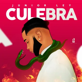 Culebra by Junior LEY