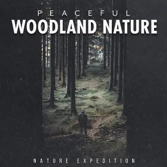 Peaceful Woodland Nature by Nature Expedition