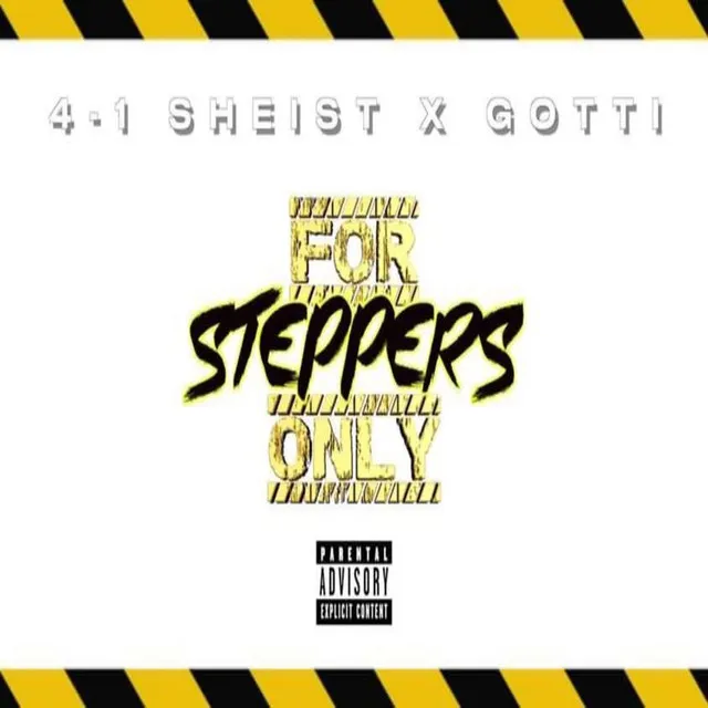 For Steppers Only(FSO)