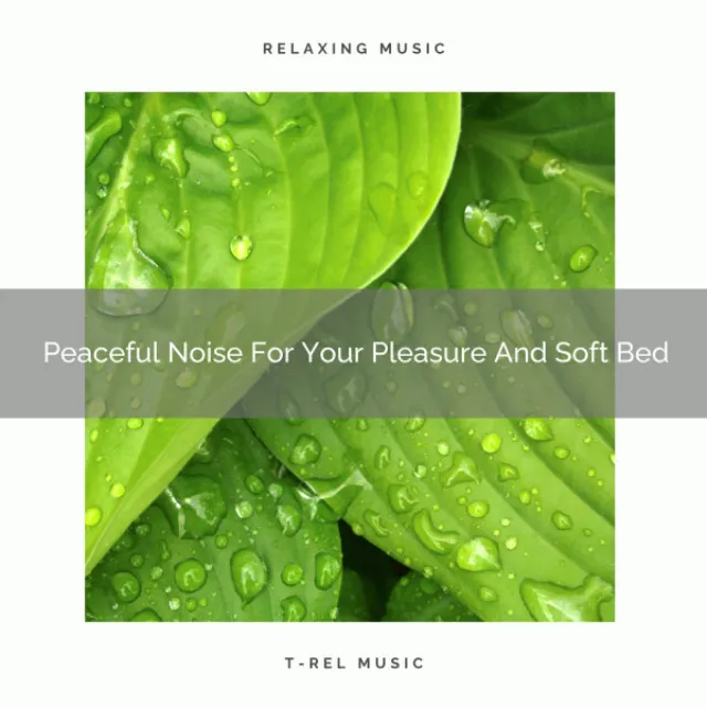 Peaceful Noise For Your Pleasure And Soft Bed