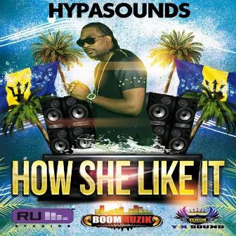 How She Like It by Hypasounds