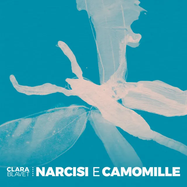 Narcisi e camomille (part 2)