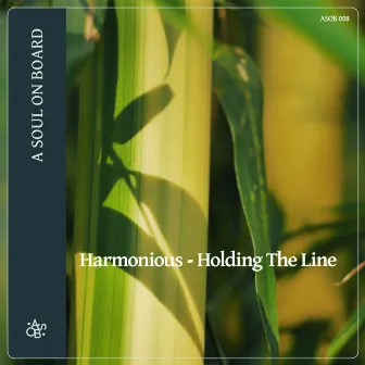 Holding the Line by Harmonious