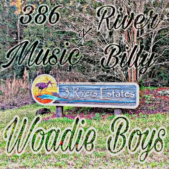 Woadie Boys by 386 Music