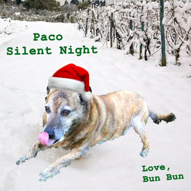 Paco Silent Night