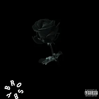 Black Roses by BROSBY