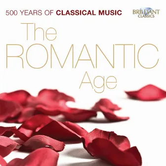 The Romantic Age, 500 Years of Classical Music by Anton Nel