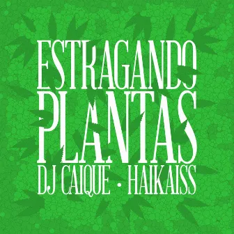 Estragando Plantas (Radio Mix) by DJ Caique