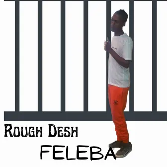 Feleba by Rough Desh