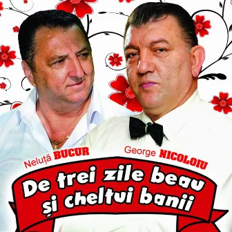 De Trei Zile Beau Si Cheltui Banii by Neluta Bucur