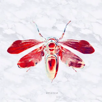 Cicada EP by YAANO