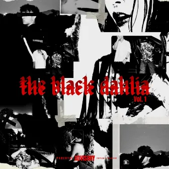 The Black Dahlia -Vol. 1 by Navaan