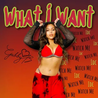 What I Want by Gabby B