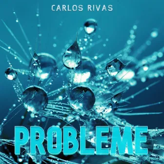 Probleme by Carlos Rivas