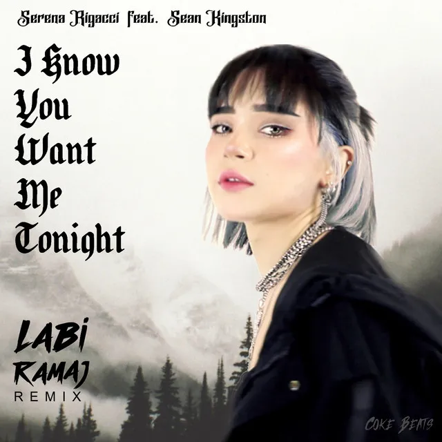 I Know You Want Me Tonight - Labi Ramaj Remix