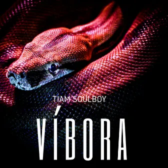 Víbora by Tiam Soulboy