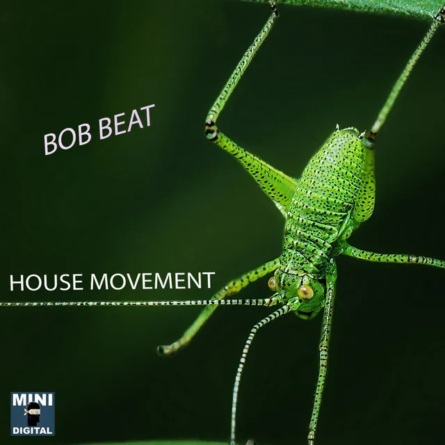 House Movement - Original mix