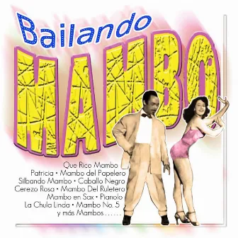 Bailando Mambo by Orquesta Pérez Prado