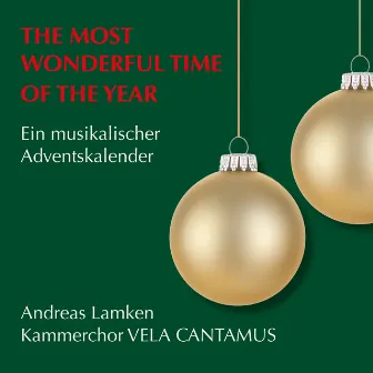 THE MOST WONDERFUL TIME OF THE YEAR by Andreas Lamken