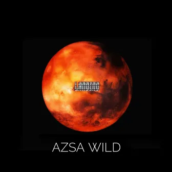 Landing by Azsa Wild