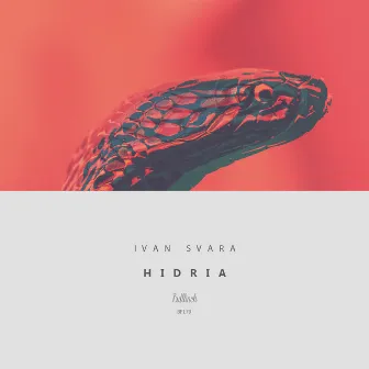 Hidria by Ivan Svara