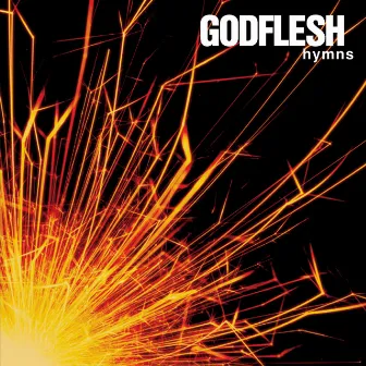 Hymns (Special Edition) by Godflesh