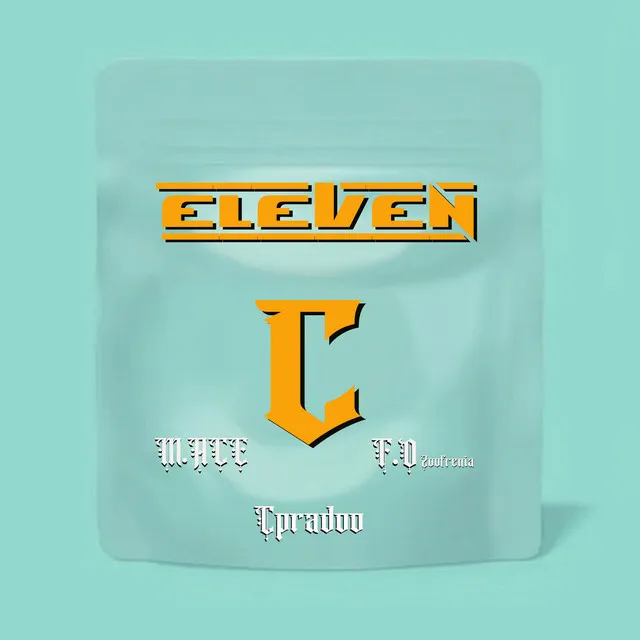 ELEVEN-C